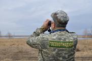Браконьеры в Челябинской области убили птиц и животных на 13 млн рублей