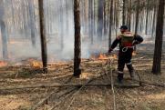 В Тюменской области затеяли реформу противопожарной службы: «Нынешняя схема себя исчерпала»