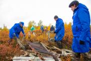 Волонтеры в 2021 году собрали более 1 500 тонн отходов в Арктике