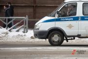 Полиция Новоуральска разобралась в инциденте с избиением собаки