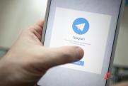 Главный пиарщик тюменской ЕР начала свой канал в Telegram с разоблачения