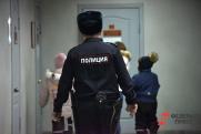 В Челябинске создадут отдел полиции после заявления нового главы ГУ МВД