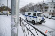 В Екатеринбурге отпущенные полицейскими дебоширы зверски избили студента