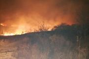 В Приморье серьезный пожар полыхает около поселка