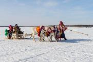 Предприятия «Роснефти» на Ямале поддержали традиционный праздник День оленевода