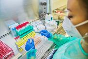 «Фонд мира» призвал ООН расследовать создание биолабораторий США в разных странах