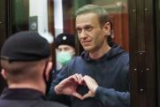 За что судят блогера Алексея Навального*