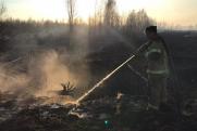 В Абатском районе ввели режим ЧС из-за природных пожаров