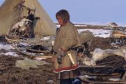 Ямальские туроператоры предлагают съездить в тундру к кочевникам за 120 тысяч