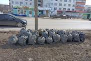 Не дождавшиеся подрядчика горожане сами собрали 60 мешков мусора в центре Копейска