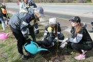 Работники «Удмуртнефти» посадили юбилейную березовую аллею