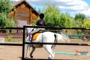 Куда сводить ребенка на каникулах в Тюмени: зоопарк, ферма и конный двор
