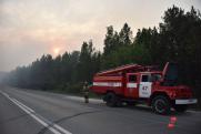 Первый лесной пожар ликвидировали в Вологодской области