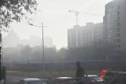 Екатеринбург и Нижний Тагил затянуло густым смогом от лесных пожаров