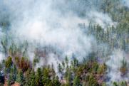 Леса горят, томский врио собирает команду: чего ждать жителям Сибири