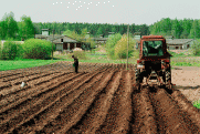 Инновации в поле и риски земледелия: подробно о посевной в Тюменской области