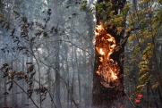 В Иркутской области горит почти 18 тысяч гектаров тайги