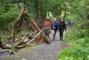 Челябинцам отказали в проведении митинга против вырубки леса: причина – ковид