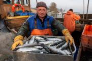 На Ямале откроют цех переработки рыбы на деньги губернаторского гранта