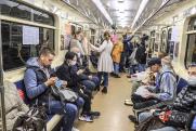 Нижегородцев будут штрафовать за провоз животных без клеток и громкую музыку в метро