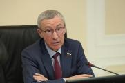 В Совфеде пообещали не ограничивать права и свободы россиян «без крайней необходимости»