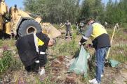 На Ямале волонтеры «Сибнефтегаза» вывезли из леса пять самосвалов мусора