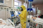 Врач-эксперт о бубонной чуме: «Опасения вызывают регионы, которые граничат с Казахстаном и Монголией»