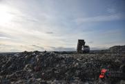 На переработку отходов выделили миллиарды: что изменится в Петербурге и Ленобласти