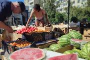 В Тюмени подешевели арбузы: от 9 рублей оптом