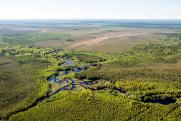 «РН-Юганскнефтегаз» вложил в экологические проекты более 5 миллиардов рублей