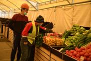 В Тюменской области стало больше трудовых мигрантов