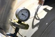 Власти Болгарии хотят возобновить переговоры с «Газпромом» о поставках газа