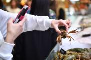 Российские рестораны сообщили о росте цен на морепродукты