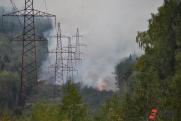 Площадь лесных пожаров в Югре выросла почти до 84 тысяч гектаров