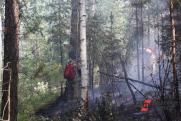 В Югре дождь помог потушить все лесные пожары