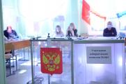 На выборах в Новгородской области выявили незаконную агитацию