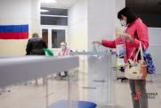 В СПЧ отметили высокую явку избирателей в Тамбовской области