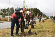СУМЗ высадил 110 саженцев в Ревде в рамках акции «Миллиард деревьев»