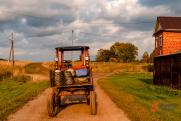 Свердловские аграрии просят бронь от мобилизации на время уборки урожая