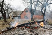 Россиянам напомнили о штрафах за сжигание сухой травы