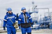 «Газпром нефть» сформировала крупный поисковый кластер на Гыдане
