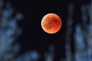 Кровавая Луна напугала жителей Москвы: что это за явление