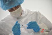 Новый штамм коронавируса «цербер»: насколько он опасен и где распространяется