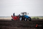В России предлагают создать молодежные сельхозбригады в помощь аграриям