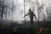 Алтайские пожарные спасли село от огня, вспыхнувшего в камышах