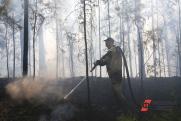 В Югре посчитали ущерб от лесных пожаров