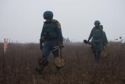 В Брянской области 2 человека подорвались на минах