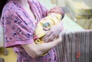 Матка напрокат: как устроена сфера суррогатного материнства в России