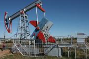Нефтяное месторождение, детский лагерь, мясной завод: какой готовый бизнес можно купить в Пермском крае