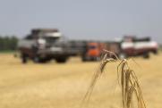 Минобороны объявило о возобновлении участия РФ в зерновой сделке: главное за сутки